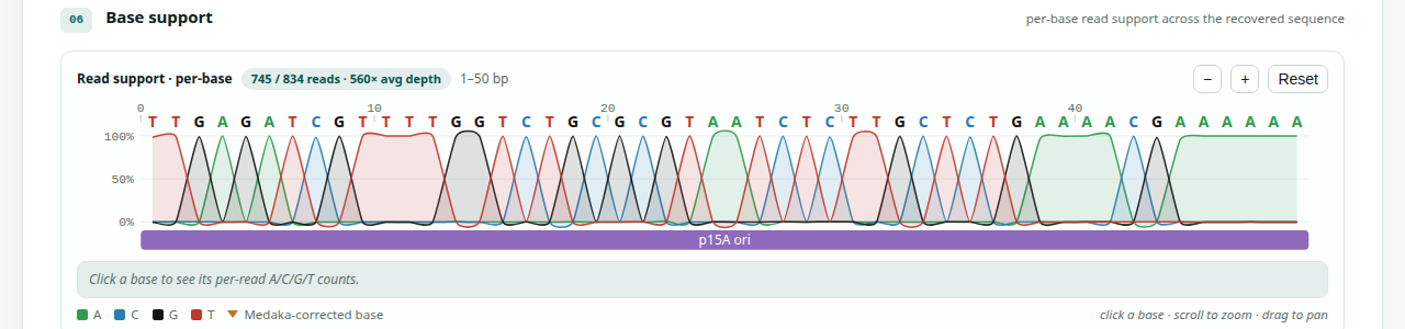 Base-support viewer: the reads behind each base, drawn like a Sanger trace